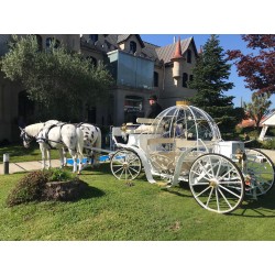 Coche De Caballos Cinderella