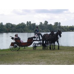 carruaje caballos bodas, coche ceremonia, carro comunión,  Galicia