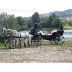 carruaje caballos bodas, coche ceremonia, carro comunión,  Galicia