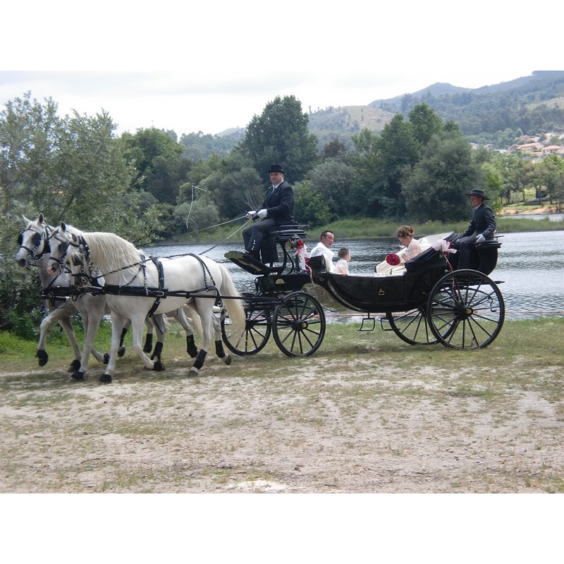 carruaje caballos bodas, coche ceremonia, carro comunión,  Galicia