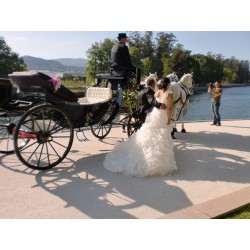 carruaje caballos bodas, coche ceremonia, carro comunión,  Galicia