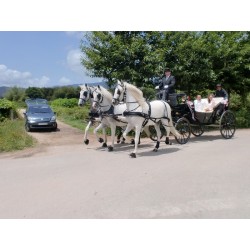 carruaje caballos bodas, coche ceremonia, carro comunión,  Galicia