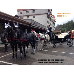 carruaje caballos bodas, coche ceremonia, carro comunión,  Galicia