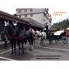 carruaje caballos bodas, coche ceremonia, carro comunión,  Galicia