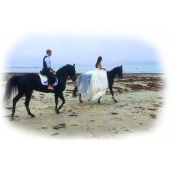 carruaje caballos bodas, coche ceremonia, carro comunión,  Galicia