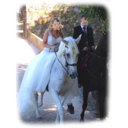 carruaje caballos bodas, coche ceremonia, carro comunión,  Galicia