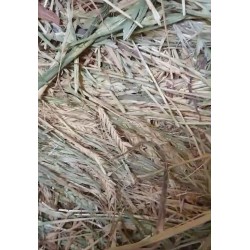 Rulos De Forraje De Avena