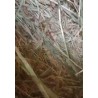 Rulos De Forraje De Avena