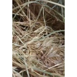 Rulos De Forraje De Avena