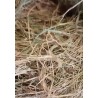 Rulos De Forraje De Avena