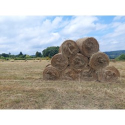 hierba seca, alfalfa cebada paja trigo alpacón rulo alpaca Galicia