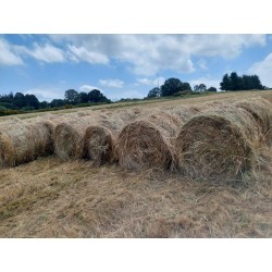 hierba seca, alfalfa cebada paja trigo alpacón rulo alpaca Galicia