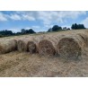 hierba seca, alfalfa cebada paja trigo alpacón rulo alpaca Galicia