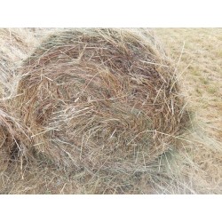 hierba seca, alfalfa cebada paja trigo alpacón rulo alpaca Galicia