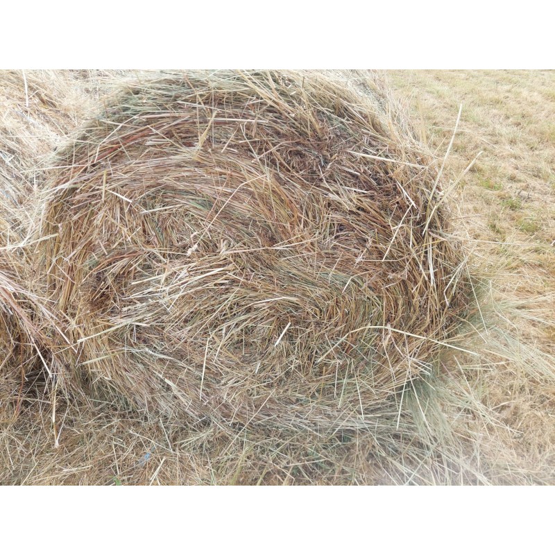 hierba seca, alfalfa cebada paja trigo alpacón rulo alpaca Galicia
