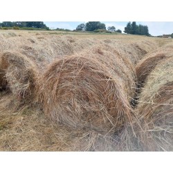 hierba seca, alfalfa cebada paja trigo alpacón rulo alpaca Galicia