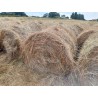 hierba seca, alfalfa cebada paja trigo alpacón rulo alpaca Galicia