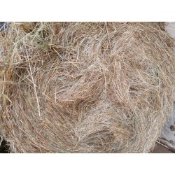 hierba seca, alfalfa cebada paja trigo alpacón rulo alpaca Galicia