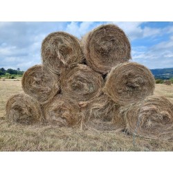 hierba seca, alfalfa cebada paja trigo alpacón rulo alpaca Galicia