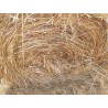 hierba seca, alfalfa cebada paja trigo alpacón rulo alpaca Galicia