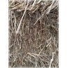 Alpacon Forraje Avena Con Alfalfa