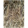Alpacon Forraje Avena Con Alfalfa