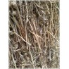 Alpacon Forraje Avena Con Alfalfa