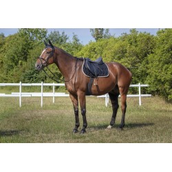 Mantilla Pony Polyfun
