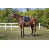 Mantilla Pony Polyfun