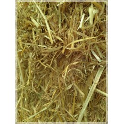 alpacones paja , alpacon cebada trigo hierba seca rulo  alpaca Galicia