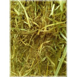 alpacones paja , alpacon cebada trigo hierba seca rulo  alpaca Galicia