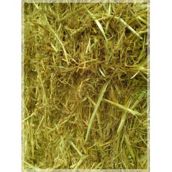 alpacones paja , alpacon cebada trigo hierba seca rulo  alpaca Galicia