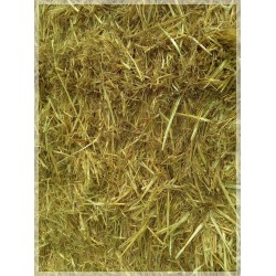 alpacones paja , alpacon cebada trigo hierba seca rulo  alpaca Galicia