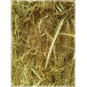 alpacones paja , alpacon cebada trigo hierba seca rulo  alpaca Galicia