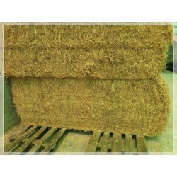 alpacones paja , alpacon cebada trigo hierba seca rulo  alpaca Galicia