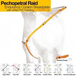Pechopetral Raid
