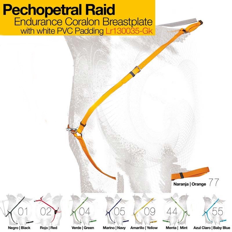 Pechopetral Raid