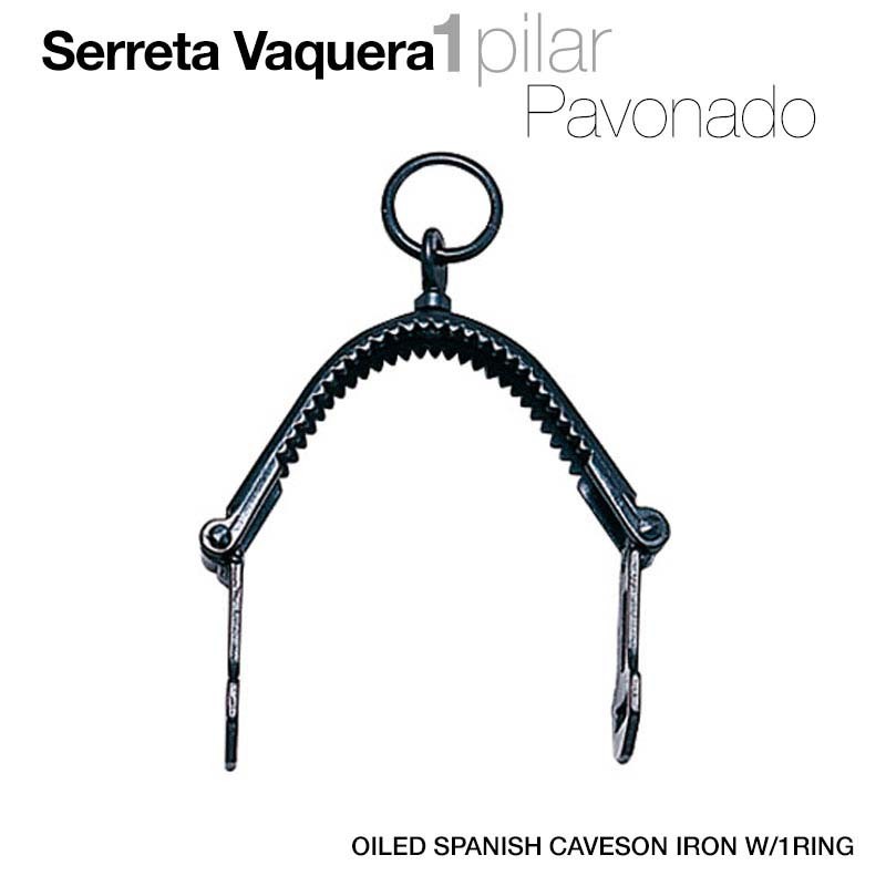 Serreta Vaquera 1 Pilar Pavonada