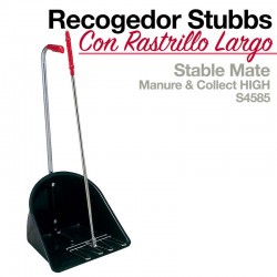 Recogedor Con Rastrillo Largo