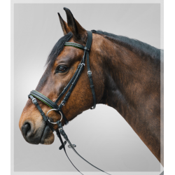 Cabezada inglesa DIAMOND c/riendas