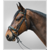 Cabezada inglesa DIAMOND c/riendas