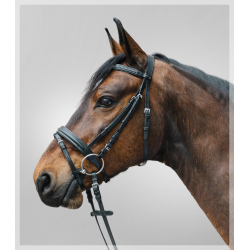 Cabezada inglesa DIAMOND c/riendas