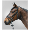 Cabezada inglesa DIAMOND c/riendas