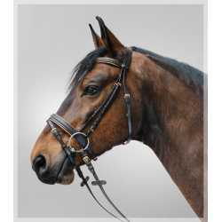 Cabezada inglesa DIAMOND c/riendas