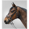Cabezada inglesa DIAMOND c/riendas