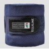 Vendas POLO YEARLING EQUILINE