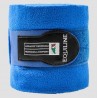 Vendas POLO YEARLING EQUILINE