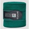 Vendas POLO YEARLING EQUILINE