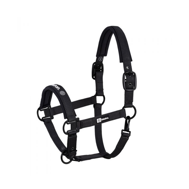 Cabezada Cuadra Eskadron Dynamic