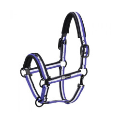 Cabezada Cuadra Eskadron Dynamic